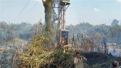 السيطرة على حريق بمزرعة في المنوفية | صور