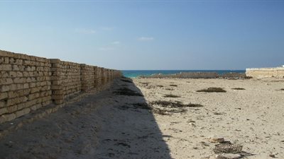 لجنة حصر أراضي الساحل تكتشف شركات عقارية لا تمتلك سند ملكية