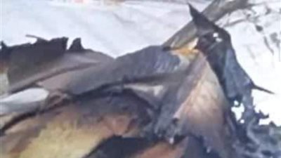 ماس كهربائي وراء التهام النيران محتويات أكبر منفذ لبيع المراتب والمنسوجات بشرق الإسكندرية