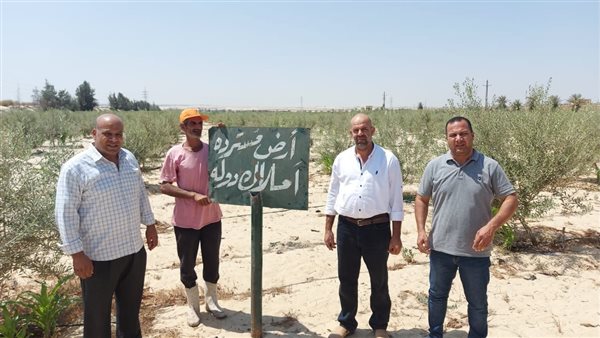 استرداد أراضى أملاك