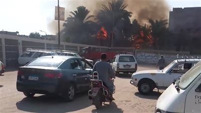 نشوب حريق في مزرعة نخيل بجوار محطة سكة حديد فرشوط | فيديو