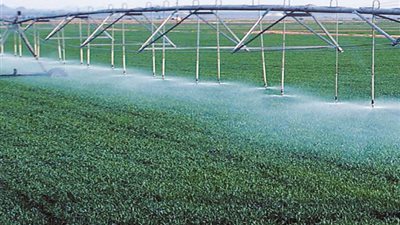 بفائدة صفرية.. تعرف على طرق حصول المزارعين على قروض التحول للري الحديث