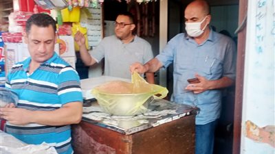 إحالة 80 مخالفة تموينية بالدقهلية لـ النيابة العامة | صور