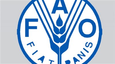 مسئول بمنظمة الفاو: لا مجال للتفاؤل بشأن استقرار أسعار الأغذية في 2022