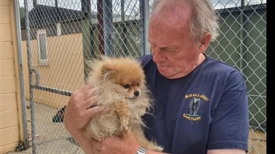 ضابط إنجليزي سابق يجلي 200 كلب وقطة من أفغانستان بمساعدة طالبان