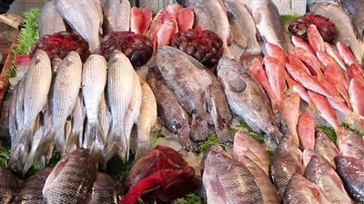 ارتفاع في أسعار الأسماك البوري والبلطي بكفر الشيخ اليوم الاثنين