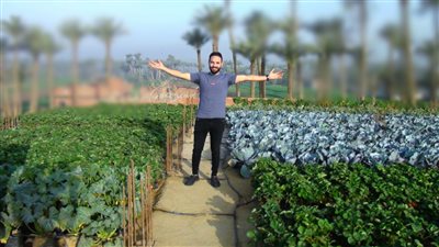 صاحب مبادرة «مزرعة بيتنا»: هدفنا تجميل أسطح المنازل وإنتاج خضروات وفواكه أورجانيك | حوار 