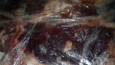 ضبط 164 كيلوجرام دواجن ولحوم منتهية الصلاحية بالغربية