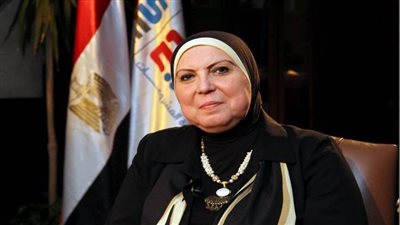 وزيرة التجارة: برامج جديدة لفتح الأسواق الإفريقية أمام الصادرات المصرية
