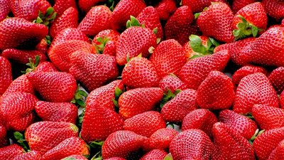 مصر تستحوذ على 84% من واردات الفراولة المجمدة لروسيا خلال 2020
