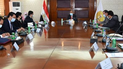 التنمية المحلية: برنامج تطوير الريف المصري وفر 52 ألف فرصة عمل خلال الأشهر الماضية