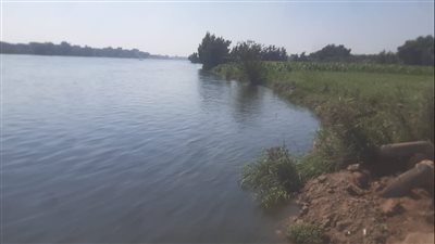 رفع درجة الاستعداد تحسبًا لارتفاع منسوب مياه النيل بالبحيرة | صور