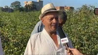 أهالي قرية المُهاجرين بالدقهلية يستغيثون: المياه انقطعت عن 20 فدانًا ومحصول القطن والرز مات