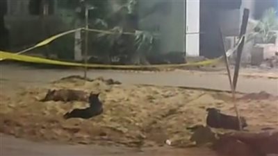 كسر ماسورة مياه أمام مسجد الشيخ غراب بـ حدائق القبة.. وتحرُّك فوري من الحي