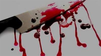 تخلصت من ابنتها وأنهى حياة شقيقته.. جرائم أسرية ونجاحات أمنية في أسبوع ساخن