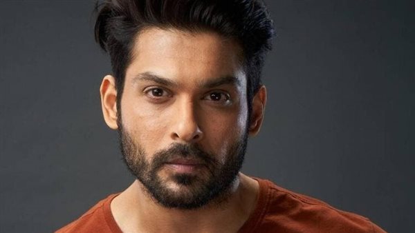 الفنان الهندي سيدهارت