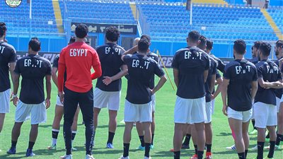 بعثة المنتخب تصل إلى القاهرة بعد نقطة الجابون.. والحزن يكسو وجوه اللاعبين