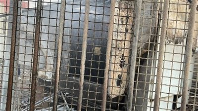 ثلاث سيارات إطفاء للسيطرة على حريق محول كهرباء بميناء غرب بورسعيد | صور