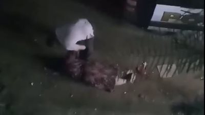 مصدر أمني يكشف تفاصيل الاعتداء على سيدة وسحلها في المنوفية