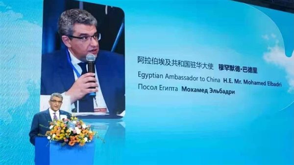 السفير المصري في