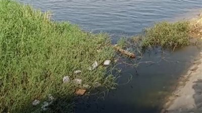 أهالي الفتاة الغارقة في نيل بني سويف: بقالها 5 أيام في المياه