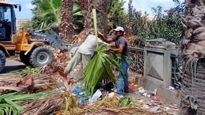 رؤية أجمل.. مبادرة لتجميل الشوارع والميادين بحي غرب الإسكندرية