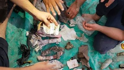 العثور على أعمال سحر لفتيات وشباب داخل مقابر المريج بشبين القناطر | صور