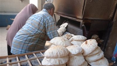 تحرير 400 محضر ومخالفة في حملات تموينية متنوعة بالإسكندرية