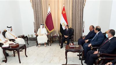 تزامنا مع ذكرى ثورة 30 يونيو | توقيع اتفاقيات اقتصادية وأزمات عربية وعالمية على طاولة السيسي وأمير قطر