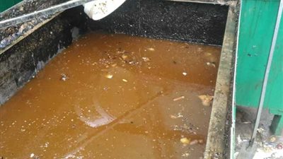 غلق وتشميع مصنع زيت دون ترخيص ومخالف لشروط السلامة والأمن الغذائي بالجيزة 