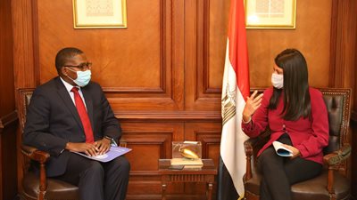 بـ 6 مليارات دولار.. التعاون الدولي: مصر لديها 34 مشروعًا للطاقة النظيفة