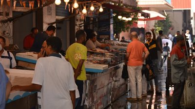 أسعار الأسماك بأنواعها في الأسواق اليوم الخميس