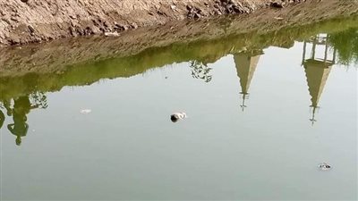 الرابع خلال أسبوع.. العثور على جثة رضيع مجهول الهوية داخل ترعة بقنا