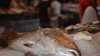 أفضل أماكن تناول وجبات الأسماك والبحريات خلال زيارتك لبورسعيد