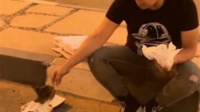 عمر كمال يُطعم قطة: جايز تكون سبب دخولي الجنة