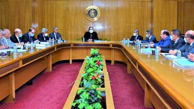 نيفين جامع: اتحاد الغرف التجارية يحقق التنمية الاقتصادية الشاملة والمستدامة