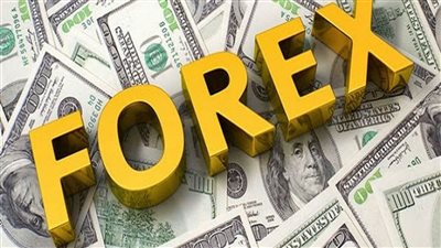 الإفتاء تحسم الجدل بشأن حكم التداول في الفوركس