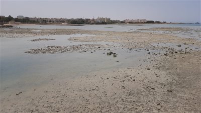 انخفاض منسوب مياه البحر الأحمر بسبب المد والجزر بشواطئ الغردقة │ صور وفيديو 
