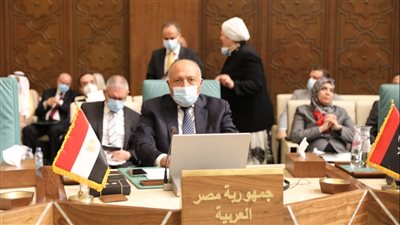 وزير الخارجية: التدخلات السافرة بمحيطنا العربي تسببت في استنزاف وإرهاق المقدرات العربية