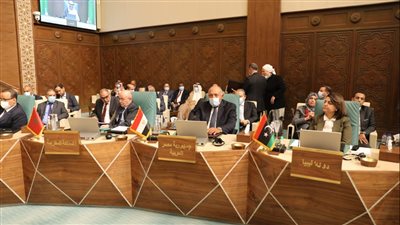 شكري يؤكد ضرورة خروج كافة القوات الأجنبية والمرتزقة من الأراضي الليبية