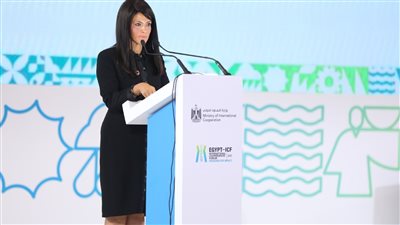 التوصيات النهائية لمنتدى مصر للتعاون الدولي والتمويل الإنمائي