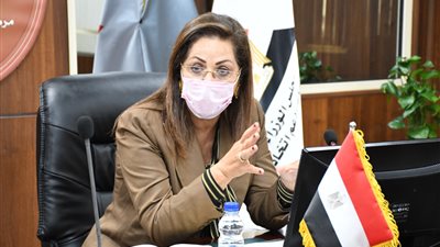 التخطيط: 49.8 نقطة ارتفاعا في مؤشر مديري المشتريات لمصر خلال أغسطس 