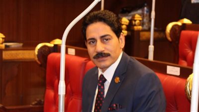 أمين سر دستورية الشيوخ: وجود خانة الديانة بالبطاقة مستند رسمي لا غنى عنه 