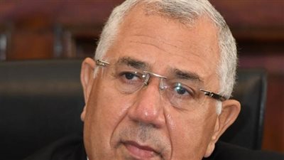 مصر أكبر مصدر للبرتقال نحو أوروبا من خارج دول الاتحاد