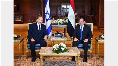 السيسي لرئيس الوزراء الإسرائيلي: سد النهضة نعتبره مسألة حياة أو موت | فيديو