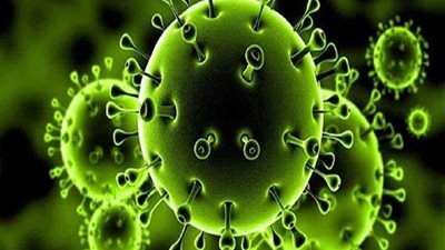 كفر الشيخ تسجل 11 حالة إصابة جديدة بفيروس كورونا 