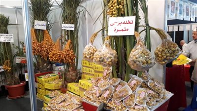 الفلاح الناطق ونخلة بـ 6000 جنيه.. أبرز لقطات مؤتمر صحاري 2021 | صور