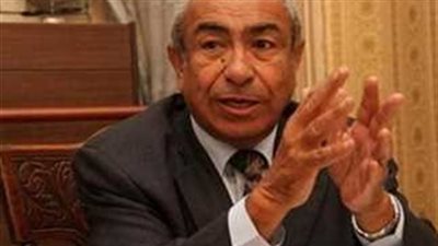 دينية النواب: نحتاج إلى حوار مجتمعي لنجاح حملة لا للانتحار