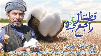 قطاع الأعمال: فتح بعض مراكز تجميع الأقطان بوجه بحري.. وأول مزاد بالشرقية 16 سبتمبر