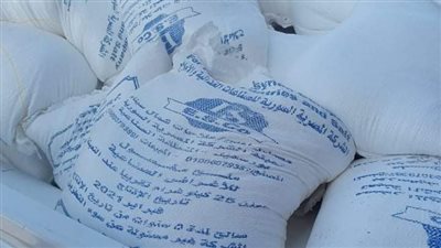 ضبط طن ملح غير صالح للاستهلاك الآدمي في بورسعيد